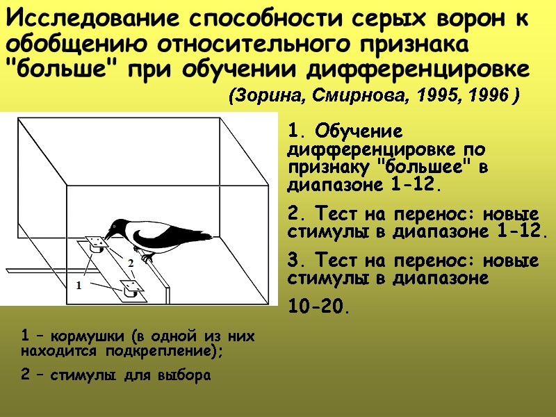 Исследование способности серых ворон к  обобщению относительного признака 